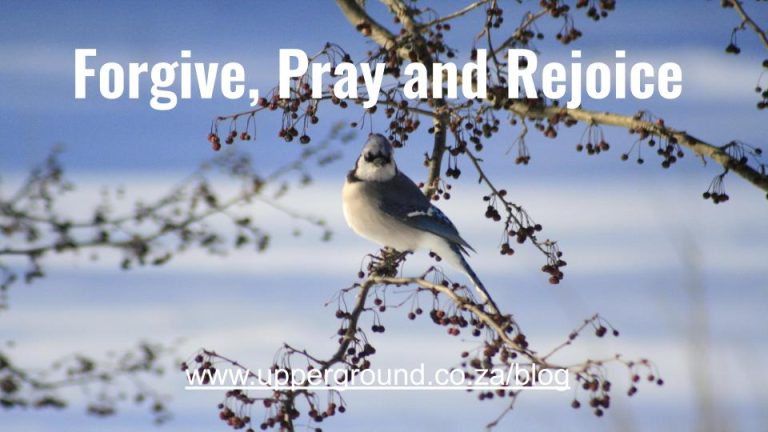 Read more about the article Rejoice in the Lord: Forgive and Receive Grace