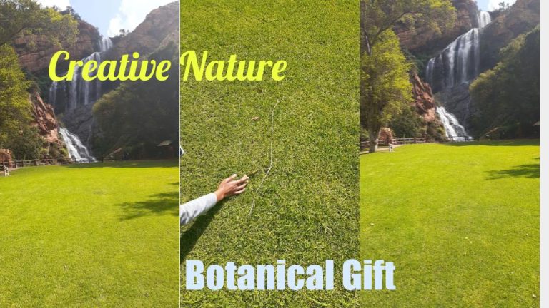 Read more about the article Botanical Gift